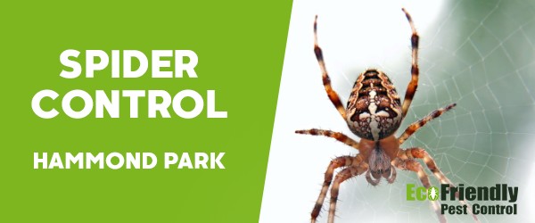 Pest Control Hammond Park