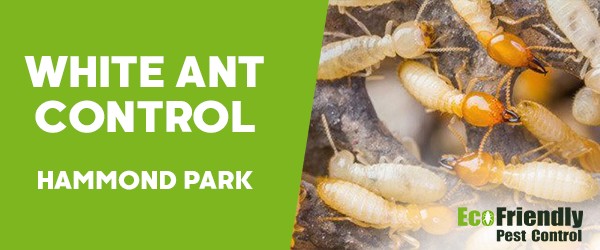 Pest Control Hammond Park