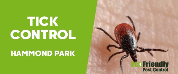 Pest Control Hammond Park