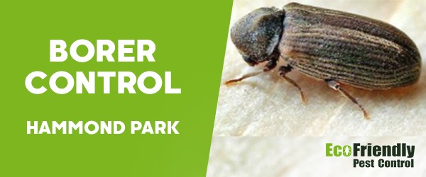 Pest Control Hammond Park