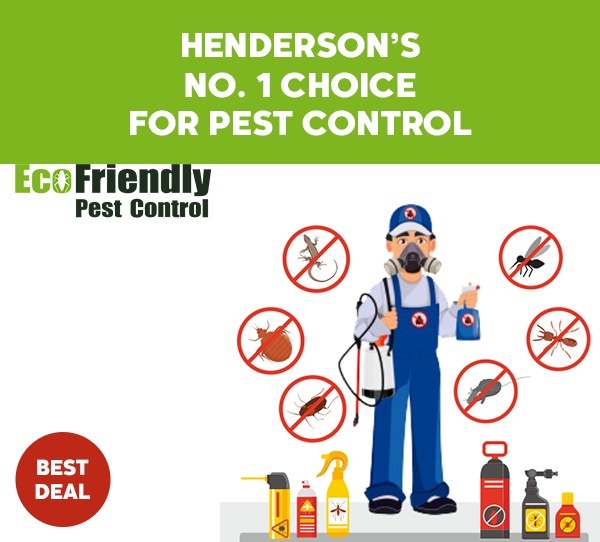 Pest Control Service