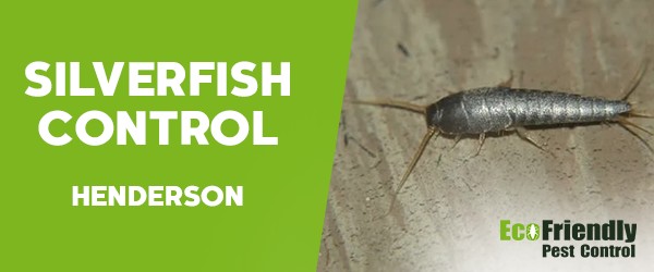 Silverfish Control  Henderson 