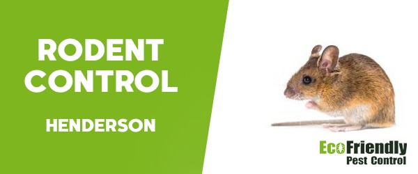 Rodent Treatment  Henderson 