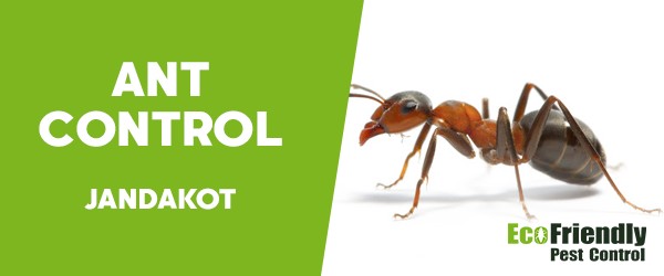 Ant Control Jandakot 
