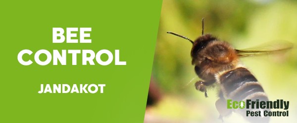 Pest Control Jandakot 