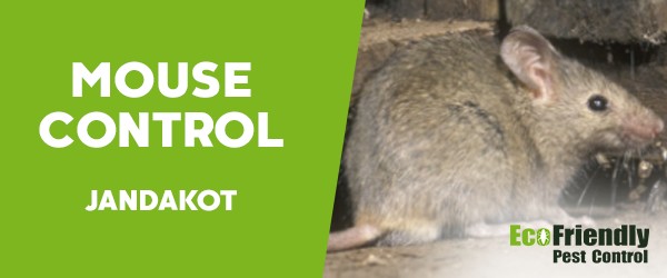 Pest Control Jandakot