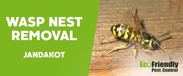 Pest Control Jandakot