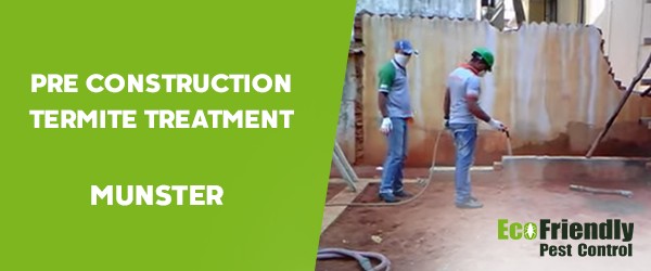 Pre Construction Termite Treatment  Munster 