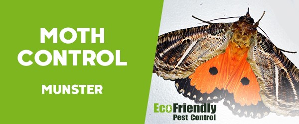 Moth Control  Munster 