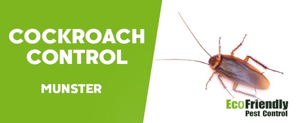 Cockroach Control  Munster  