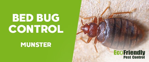 Bed Bug Control  Munster 