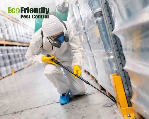 Pest Control Service