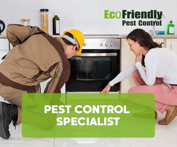 Pest Control North Lake