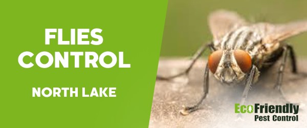 Pest Control North Lake