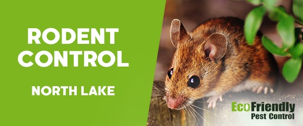 Pest Control North Lake