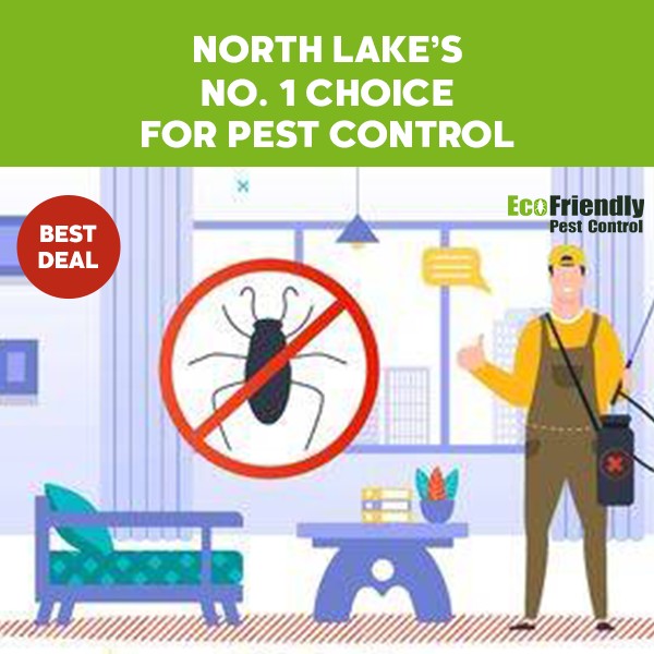 Pest Control North Lake