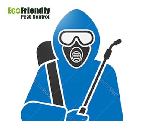 Pest Control Service