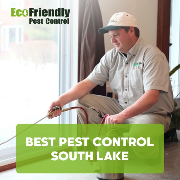 Best Pest Control  South Lake 