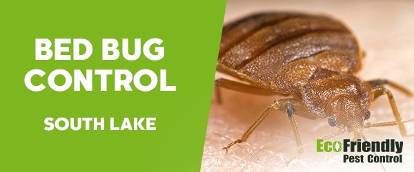 Bed Bug Control  South Lake 