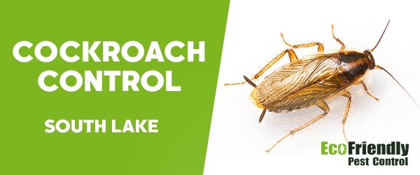 Cockroach Control  South Lake  