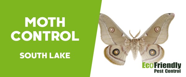 Moth Control  South Lake 