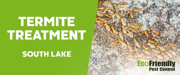 Termite Control  South Lake 