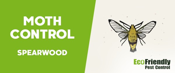 Pest Control Spearwood