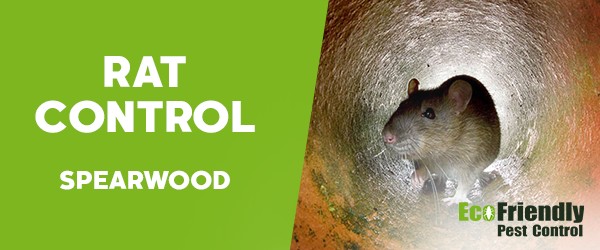 Pest Control Spearwood