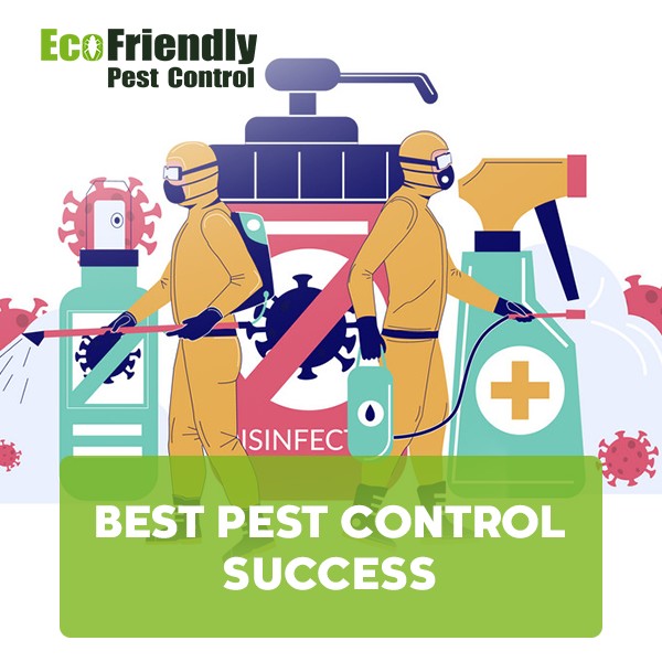 Best Pest Control Success