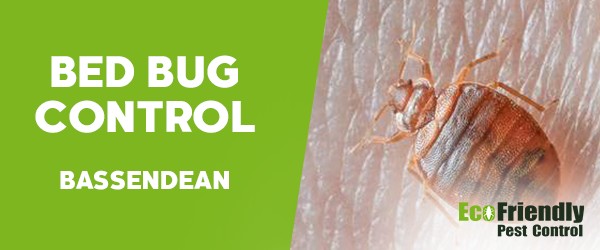 Bed Bug Control  Bassendean 