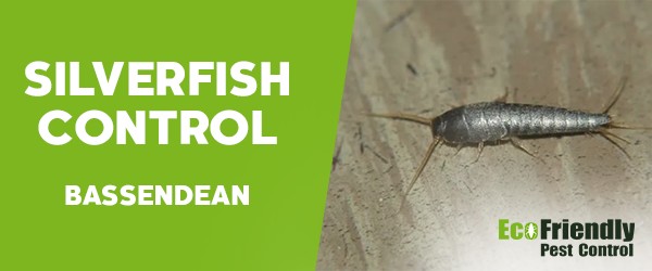 Silverfish Control  Bassendean 