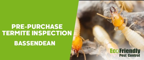 Pre-purchase Termite Inspection  Bassendean 