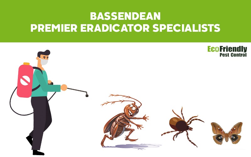 Pest Control Bassendean