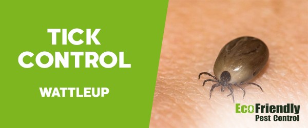 Ticks Control  Wattleup 