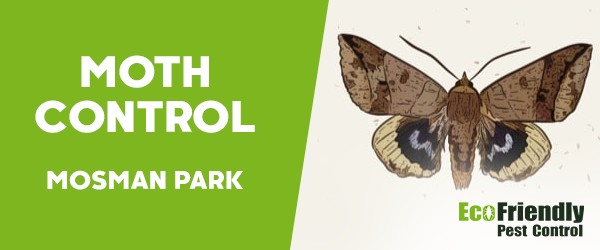 Moth Control  Mosman Park 