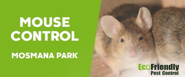 Mouse Control  Mosman Park 