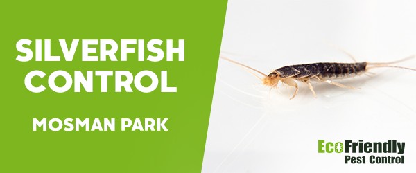 Silverfish Control  Mosman Park 