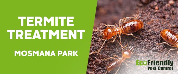 Termite Control  Mosman Park 