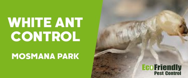 White Ant Control  Mosman Park 
