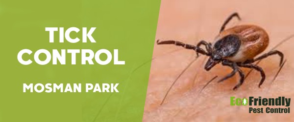 Ticks Control  Mosman Park 