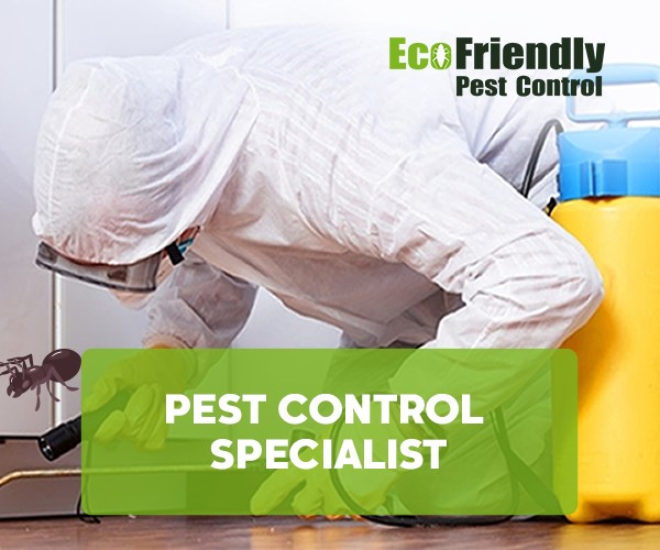 Pest Control Specialist