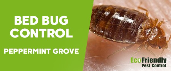 Bed Bug Control  Peppermint Grove 