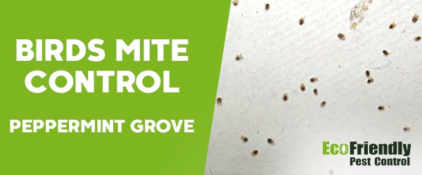 Bird Mite Control  Peppermint Grove 