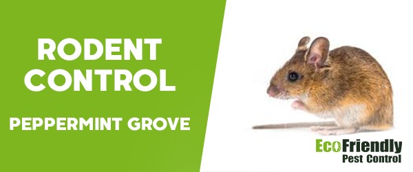 Rodent Treatment  Peppermint Grove 