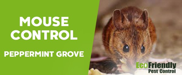 Mouse Control  Peppermint Grove 