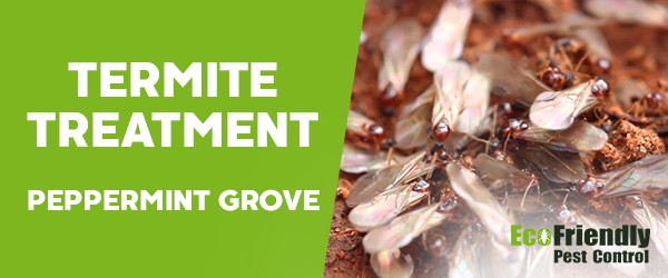 Termite Control  Peppermint Grove 