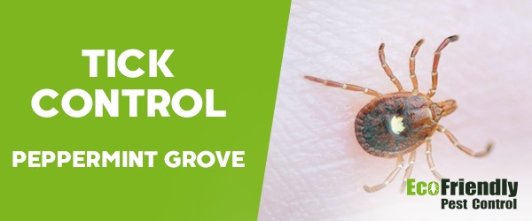 Ticks Control  Peppermint Grove 