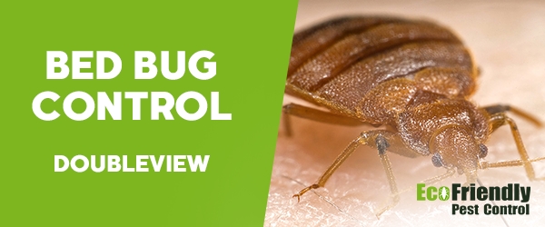 Bed Bug Control Doubleview