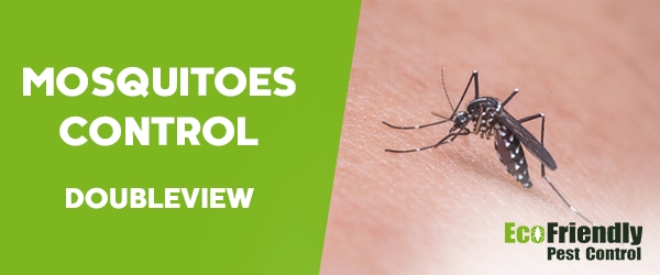 Pest Control Doubleview