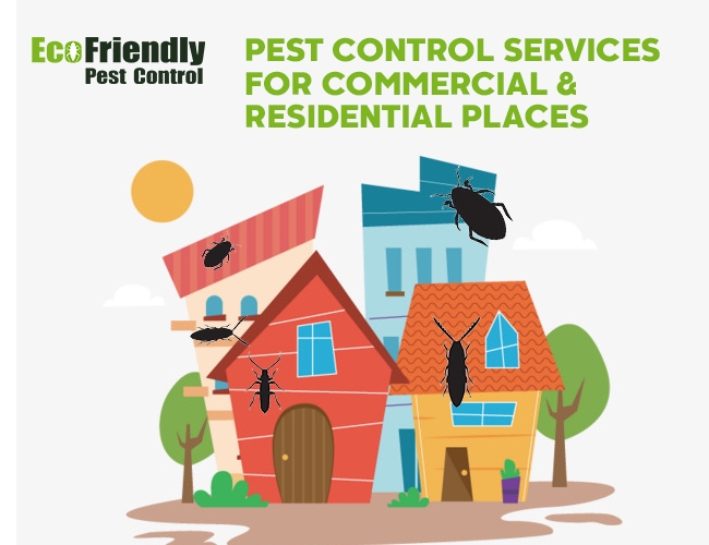 Pest Control Doubleview